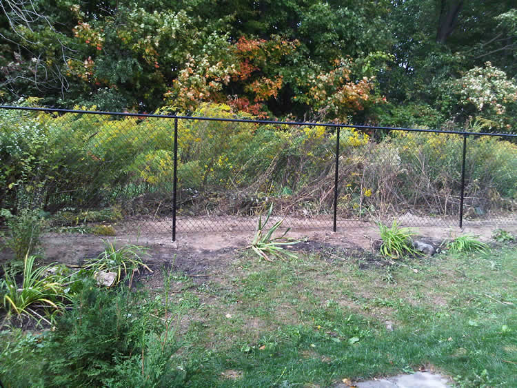 Residential Chain Link Fence #7