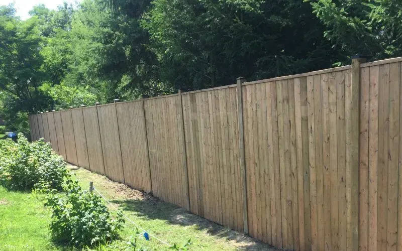 Fencing In Cambridge: Who To Trust For The Best Fences