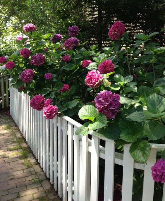 Picket on Rails Fence