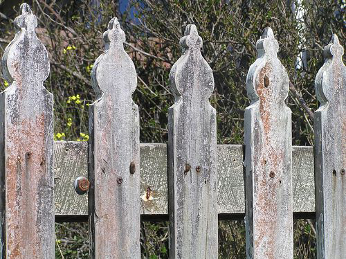 spade style picket fence design