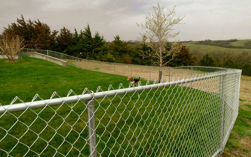 Chain Link Fence – Everything You Need To Know