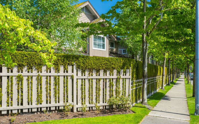 Impeccable Privacy Fence Ideas for Backyard