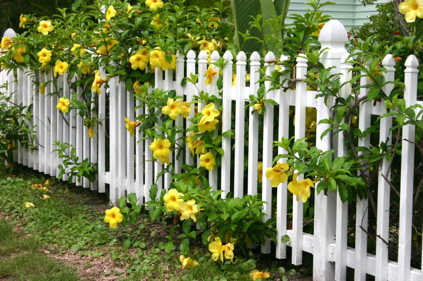 Amazing And Different Types Of Fences For Gardens